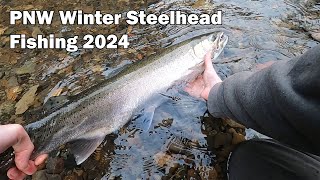 PNW Winter Steelhead 2024 [upl. by Willetta]