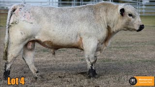 Lot 04 Minnamurra Tahoma T1 [upl. by Ailedua215]