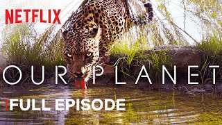 Our Planet  From Deserts to Grasslands  FULL EPISODE  Netflix [upl. by Simonne]