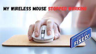 🐁My wireless mouse stopped working🐁 here is how to fix [upl. by Berne]