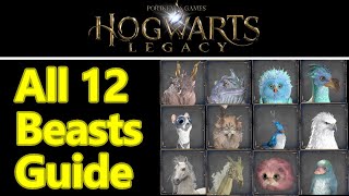 Hogwarts legacy all 12 beast locations phoenix graphorn unicorn and more tame and breed animals [upl. by Kadner36]