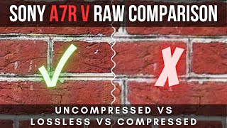 Sony A7IV compressed VS uncompressed RAW [upl. by Lesnah]