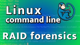 Redundant Array of Independent Disks RAID  forensic imaging and reassembly [upl. by Hayifas]