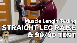 MLT Hamstrings Straight Leg Raise AND 9090 Test [upl. by Chavez]