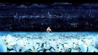 Madoka Magica AMV flash warning  在  No Party for Cao Dong [upl. by Huston]