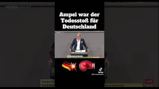 Alice Weidel zur Ampel Regierung💥⚡️ [upl. by Julius]