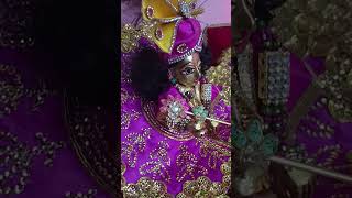 Kisne bansi bjai aadhi ratko jisne plke churai aadhi rat ko Radhe Krishna bhktisong shortvideo [upl. by Raphael]