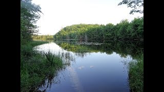 Camping with Family at Copper Falls State Park  July 2017 [upl. by Rosa]