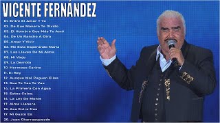 VICENTE FERNANDEZ CORRIDOS DE CABALLOS MIX [upl. by Yenobe631]