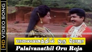 Palaivanathil Oru Roja Song  Kattabomman Movie  Sarath Kumar Vineetha Love Songs  Deva Song  HD [upl. by Smiga]