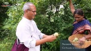 The Aranya story turning barren land into a food forest using permaculture [upl. by Standice]