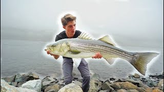 Most INSANE GIANT Striped Bass TOPWATER Fishing  Striper Mayhem D1 [upl. by Sheeran26]