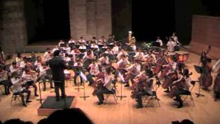 Pirates des Caraïbes Orchestre C [upl. by Ellives]