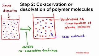 Microencapsulation by coacervation phase separation Microcapsule preparation [upl. by Ahsenre]