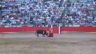 Tourada em Barcelona Espanha  Go bull go [upl. by Yatnuahs]