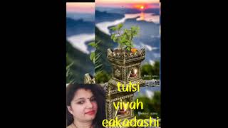 Tulsi Vivah Tulsi bhajan ekadashi kirtan ekadashi bhajan by Kanchan Goswami [upl. by Remmus]