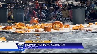 Chico State University held their 35th annual Pumpkin Drop [upl. by Giule]