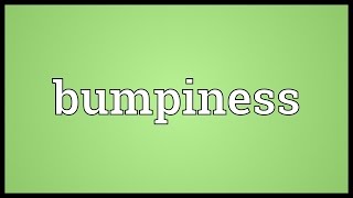 Bumpiness Meaning [upl. by Ttegirb]