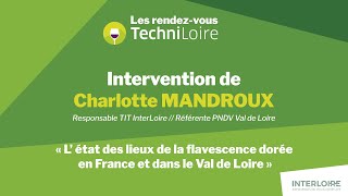 Les RDV TechniLoire 2024  Intervention de Charlotte MANDROUX [upl. by Andra41]