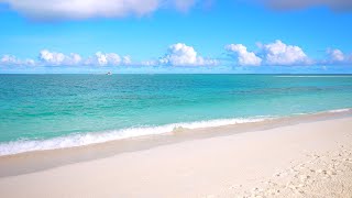 Maldives Beach 4K 🏝 Turquoise Water White Sand and Ocean Sounds [upl. by Laeynad783]