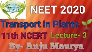 NCERT Revision Transport in Plants Lecture 3 NEET 2020 By Anju Maurya [upl. by Aikin349]