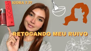 RETOCANDO O CABELO RUIVO EM CASA FÁCIL E RÁPIDO  IGORA 777 ✨ 🧡 [upl. by Eimmelc752]