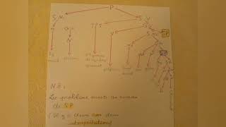 Syntaxe 2 Semestre 5 La Grammaire générative et transformationnellereprésentation arborescencte [upl. by Melania477]