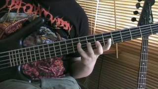 The Black Dahlia Murder  The Statutory Ape Bass Cover [upl. by Kaiser218]