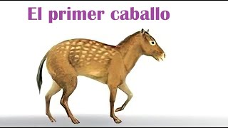 Eohippus  El primer caballo de la historia [upl. by Colligan898]