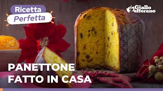 PANETTONE CON LIEVITO DI BIRRA  Fatto in casa spiegato passo passo [upl. by Haman776]