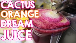 Cactus Orange Dream Juice Recipe [upl. by Ahteres]