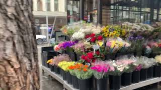 Melbourne‘s presents Town Hall spring season flowers 2 [upl. by Hooke]