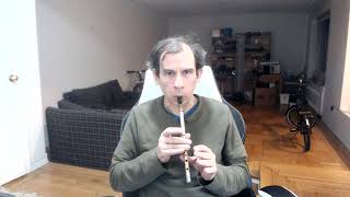 O Christmas Tree  Tin Whistle [upl. by Suoirad762]