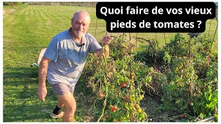 Quoi faire de vos vieux pieds de tomates en fin de saison [upl. by Flosi]