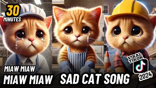 30 Minutes Miaw miaw miaw miaw Viral Song sad in Tiktok 2024😭 cat aicat catlover [upl. by Newo]