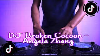 Dj Broken Cocoon  Angela Zhang soulland slowed [upl. by Drazze326]