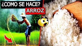 COMO se HACE el ARROZ BLANCO perfecto para microondas✅ [upl. by Sadira]