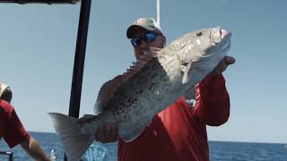 Top 3 Grouper Fishing Mistakes Are You Making One Of These [upl. by Sheena]