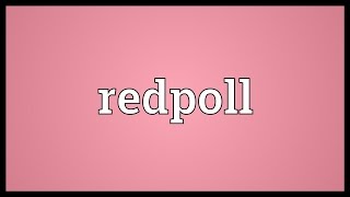 Redpoll Meaning [upl. by Dnomar]