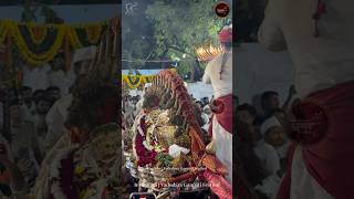 Narshinhji No Varghodo 2024 Vadodara Tulsi Vivah tulsivivah tulsivivahspecial vadodara viral [upl. by Bayless]