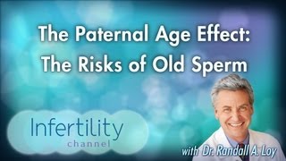 The Paternal Age Effect The Risks of Old Sperm [upl. by Mihar616]