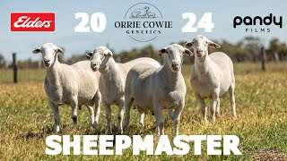 Orrie Cowie 2024 SheepMaster PreSale video [upl. by Lorianne96]