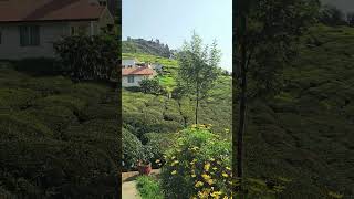 Hilltop Elegance Experience the breathtaking beauty of Planters Punch Resort in Ooty ⛰️🌿Best Villa [upl. by Eednar]