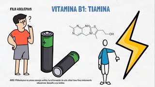 VITAMINA B1  QUÉ ES PARA QUÉ SIRVE Y CUÁLES SON LOS SÍNTOMAS DE SU DEFICIENCIA [upl. by Batty]