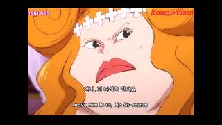 One Piece Episode 1101 English Subbed [upl. by Nylac586]