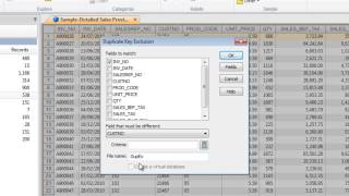 CaseWare IDEA TutorialsDuplicate Key Exclusion [upl. by Fu227]