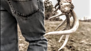 Top 5 Locations To Find A Shed Antler [upl. by Gonzalo]