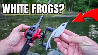 Early Summer Frog Fishing Shallow Bass Fishing [upl. by Odilia]