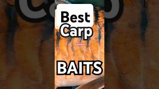 Best CARP Fishing Bait  Nutrition vs Natural carpbait carpfishing carpfishingsouthafrica [upl. by Lhok339]