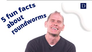 5 Fun Facts about Roundworms [upl. by Auqined721]